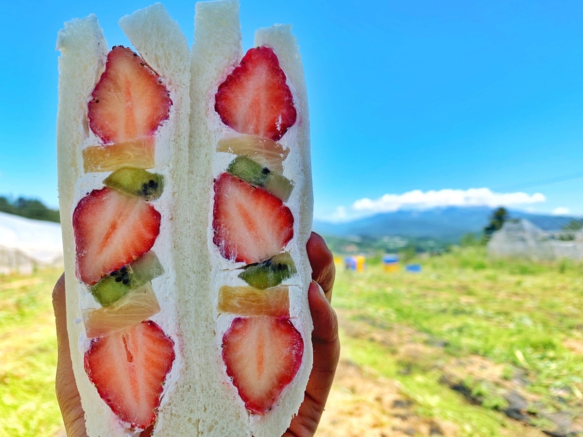 f:id:gk-murai33-gk:20190613150857j:plain