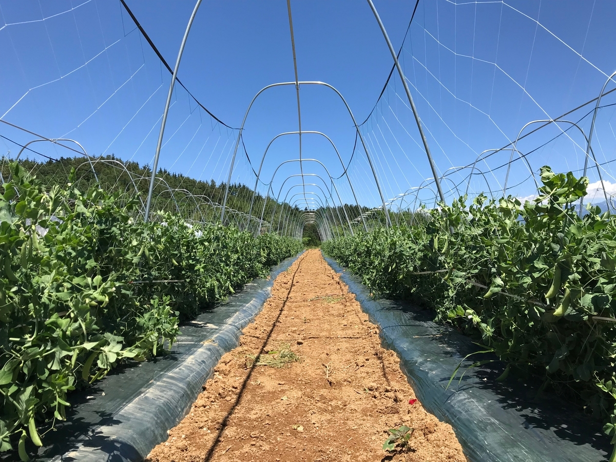 f:id:gk-murai33-gk:20190613151113j:plain