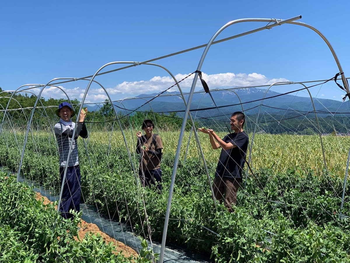 f:id:gk-murai33-gk:20190613152042j:plain