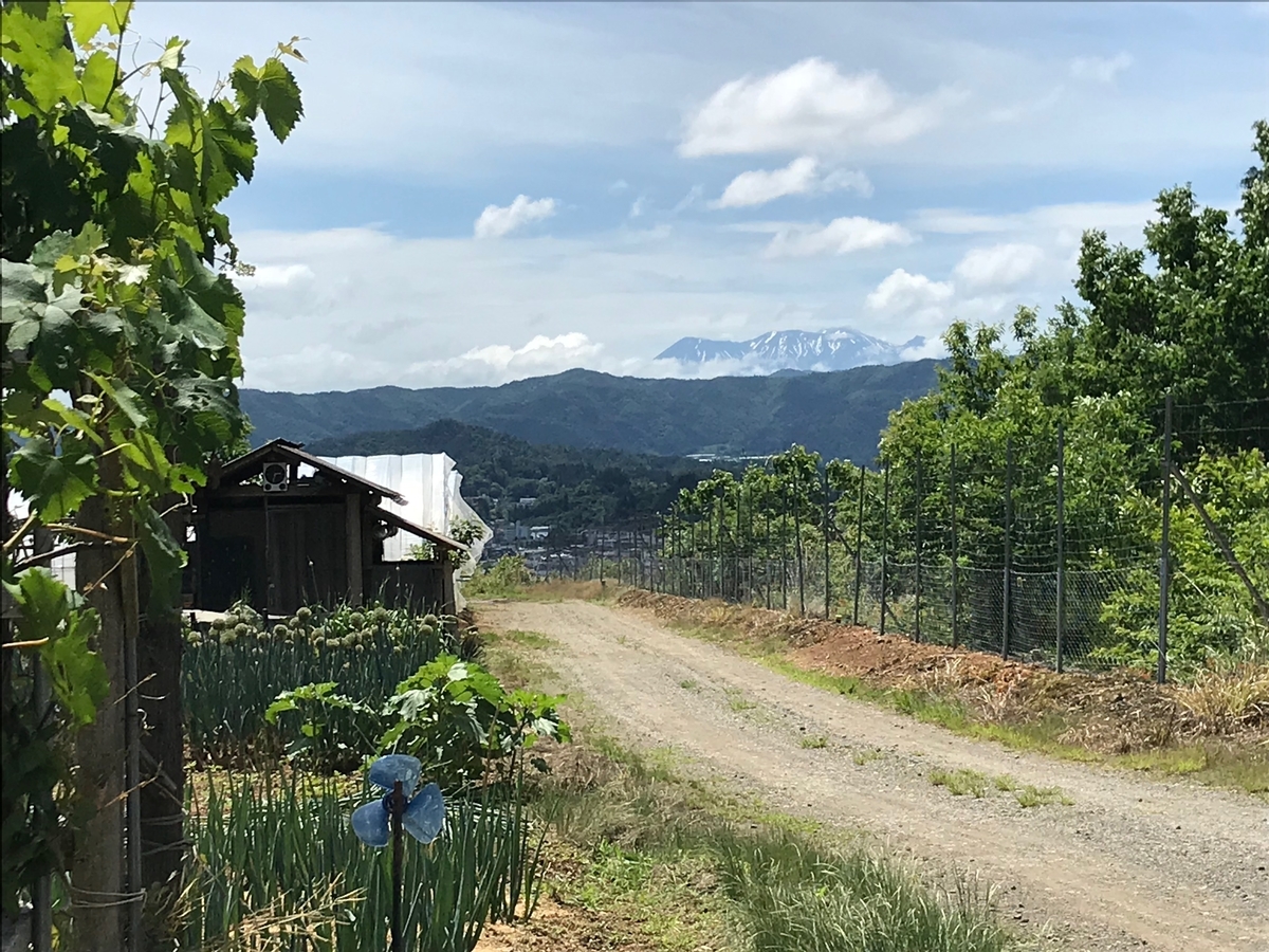 f:id:gk-murai33-gk:20190617173220j:plain