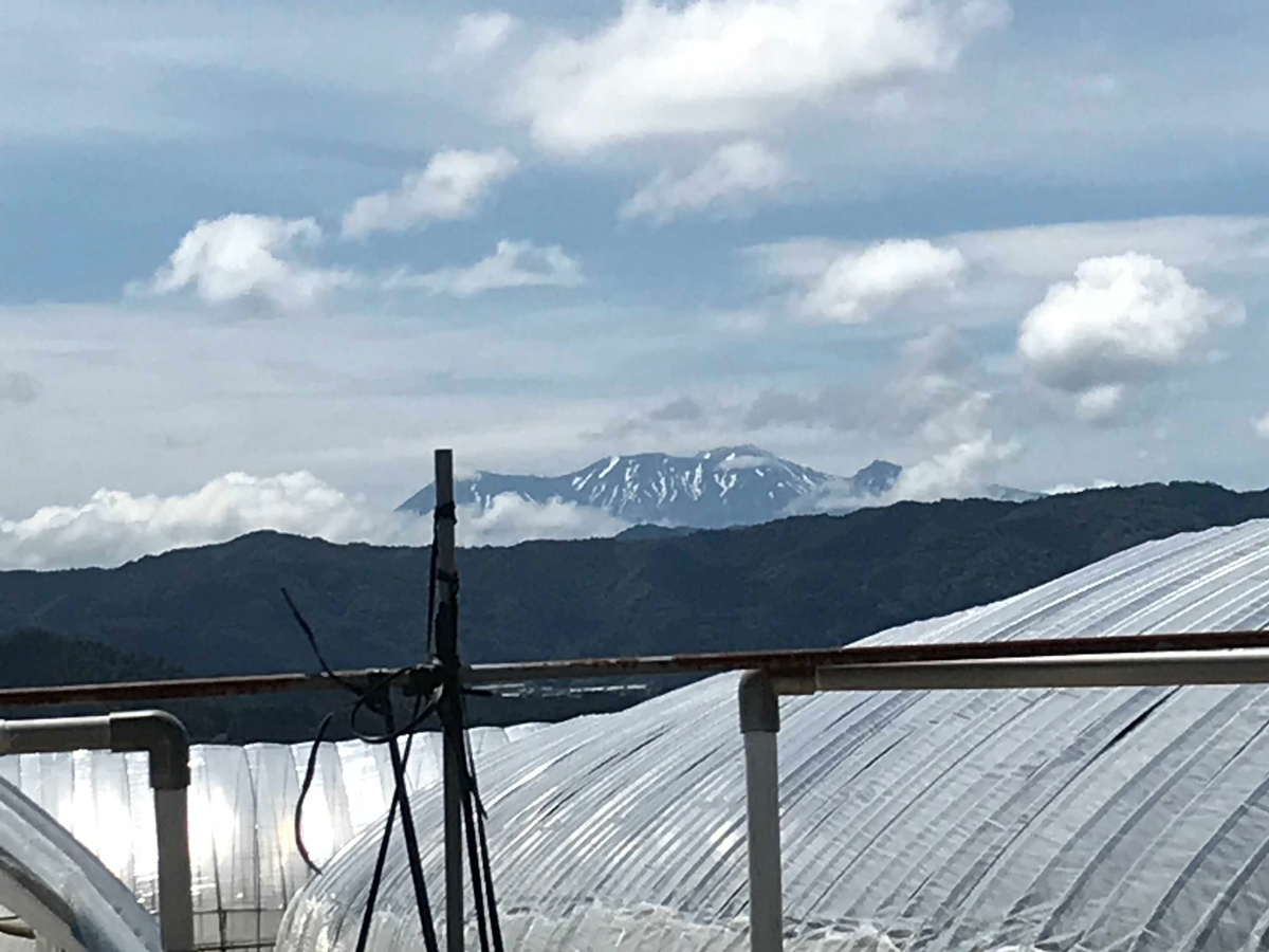 f:id:gk-murai33-gk:20190617173350j:plain