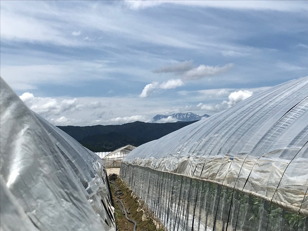 f:id:gk-murai33-gk:20190617173428j:plain