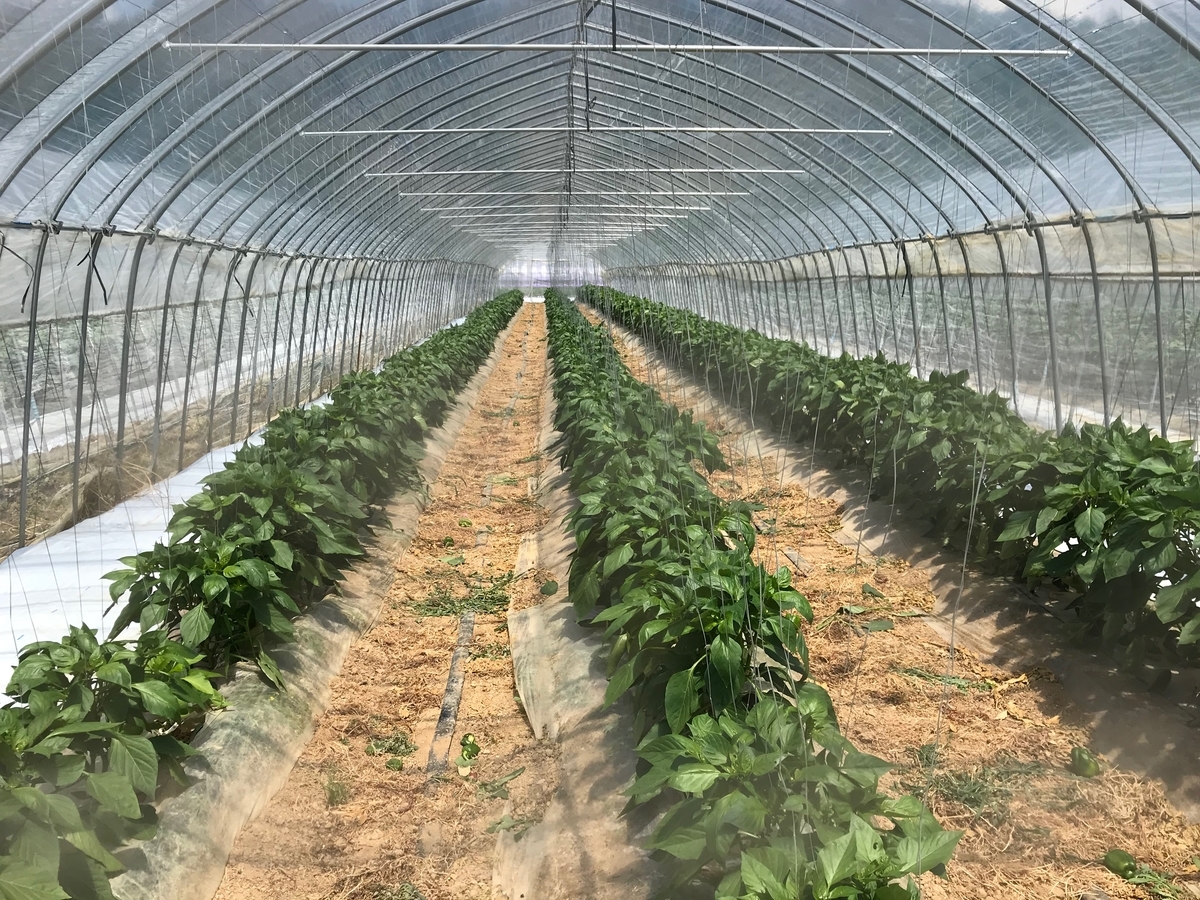 f:id:gk-murai33-gk:20190617173650j:plain