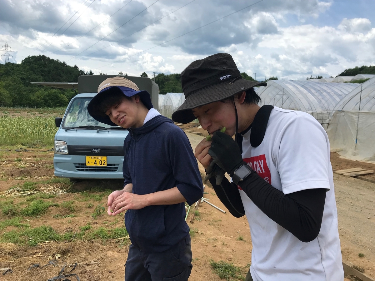 f:id:gk-murai33-gk:20190618174155j:plain