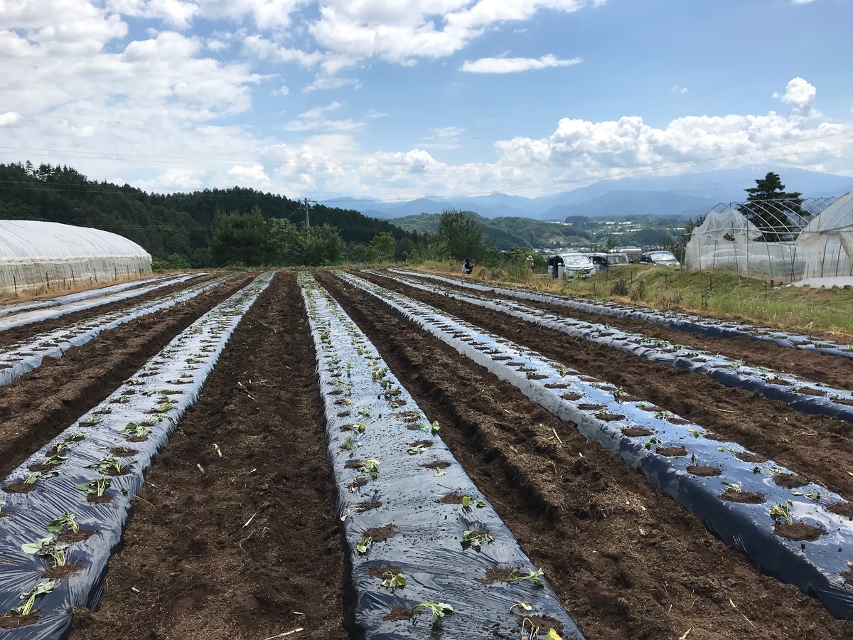 f:id:gk-murai33-gk:20190618174703j:plain