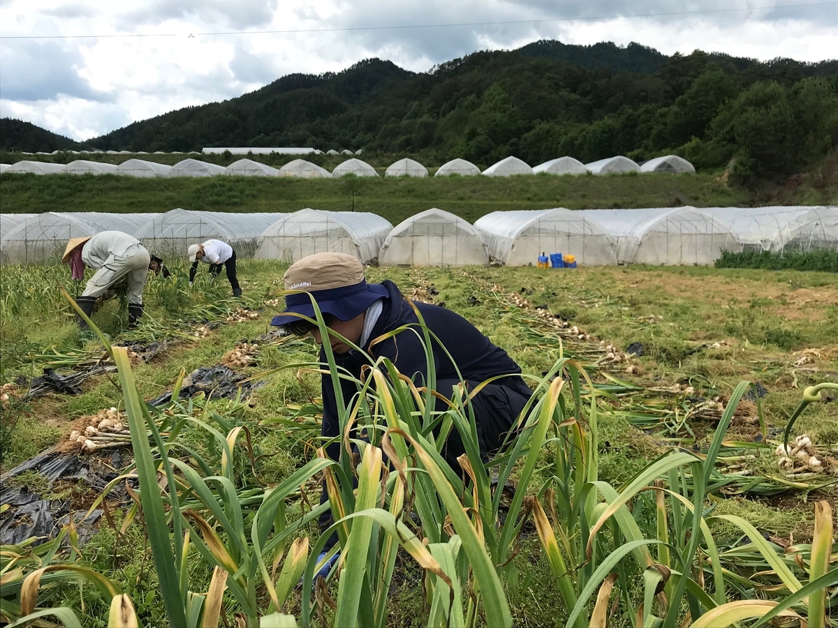 f:id:gk-murai33-gk:20190618174942j:plain