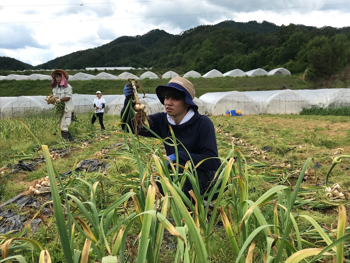 f:id:gk-murai33-gk:20190618175037j:plain