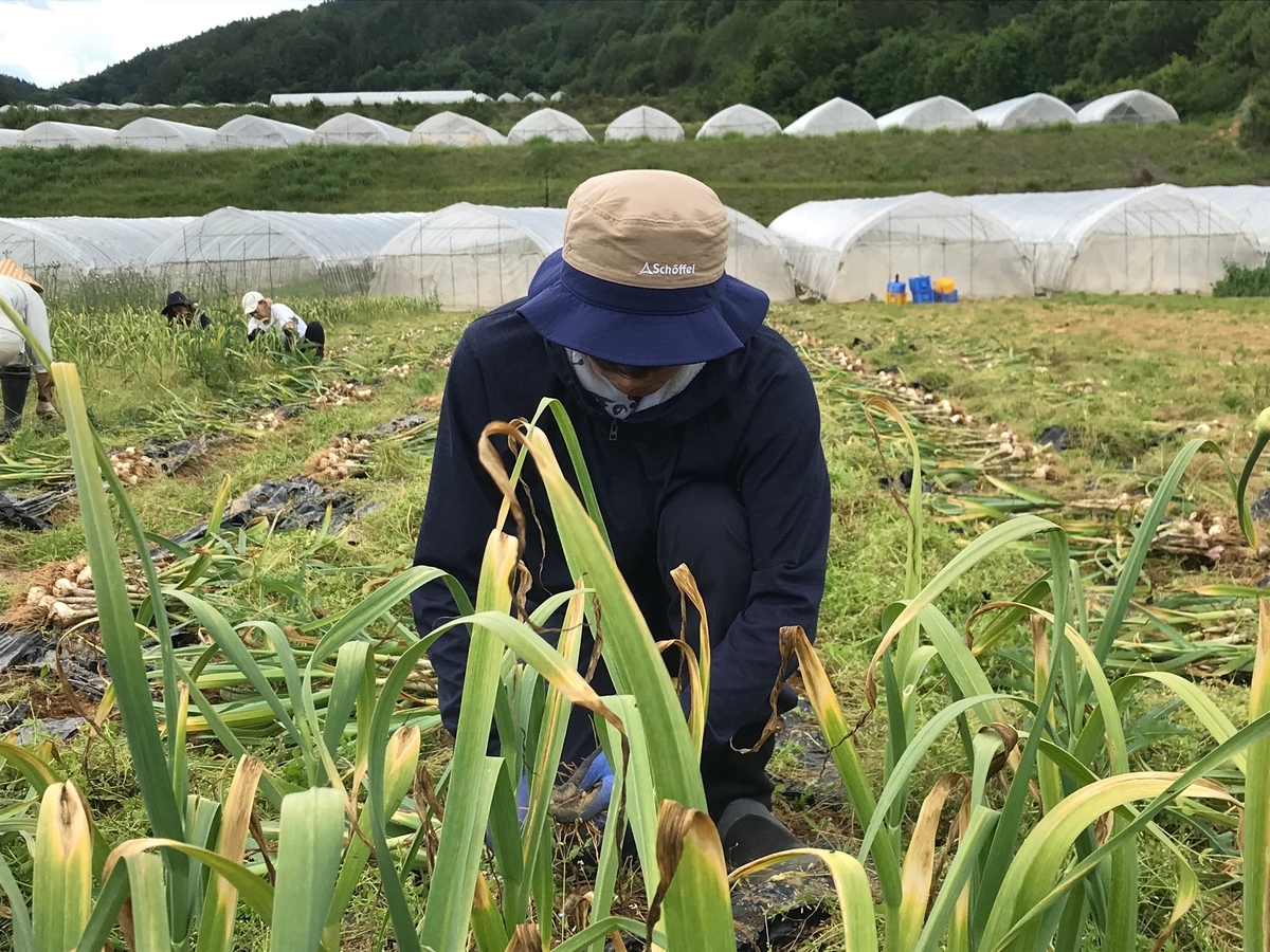 f:id:gk-murai33-gk:20190618175150j:plain