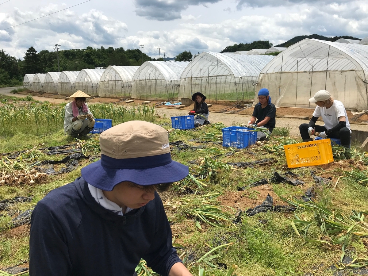 f:id:gk-murai33-gk:20190618175247j:plain