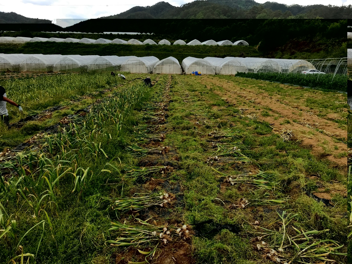 f:id:gk-murai33-gk:20190619092557j:plain