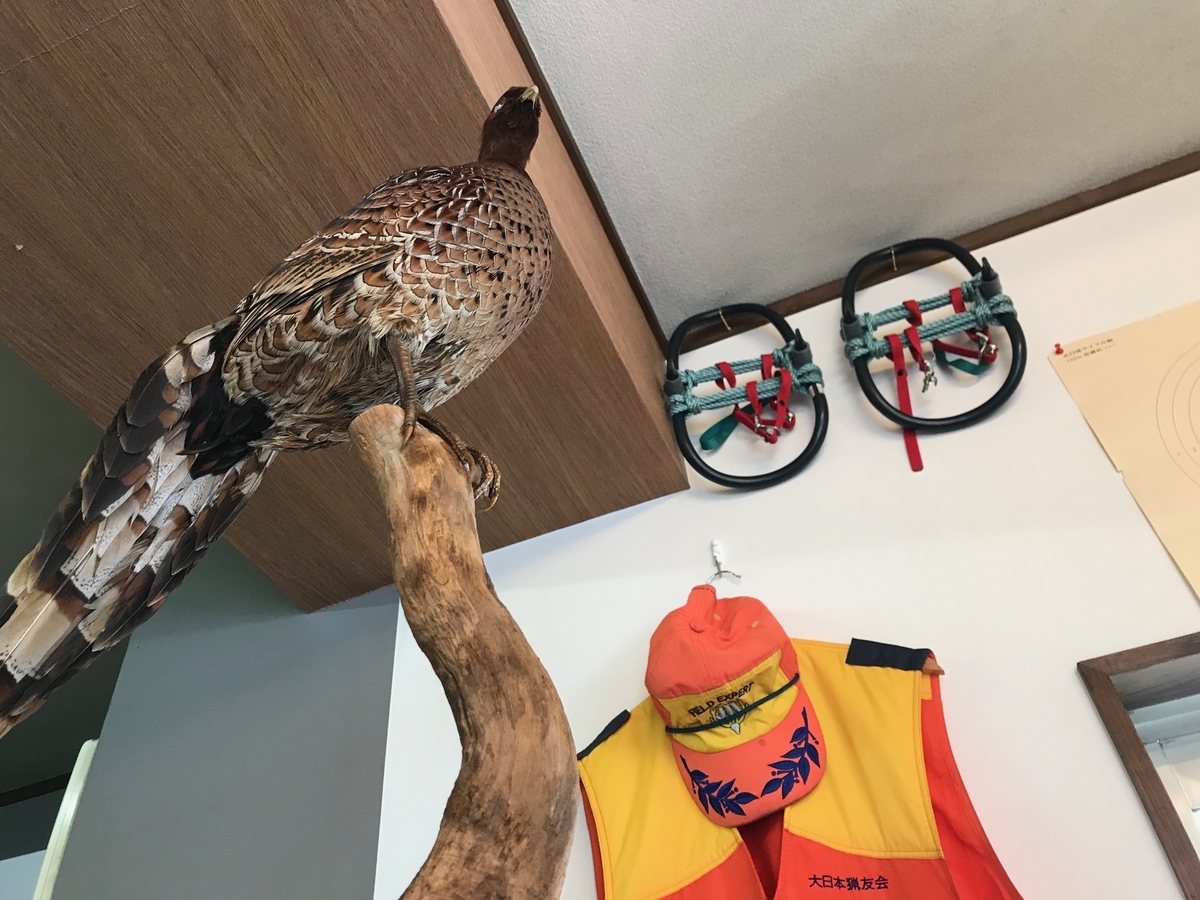 f:id:gk-murai33-gk:20190718104900j:plain