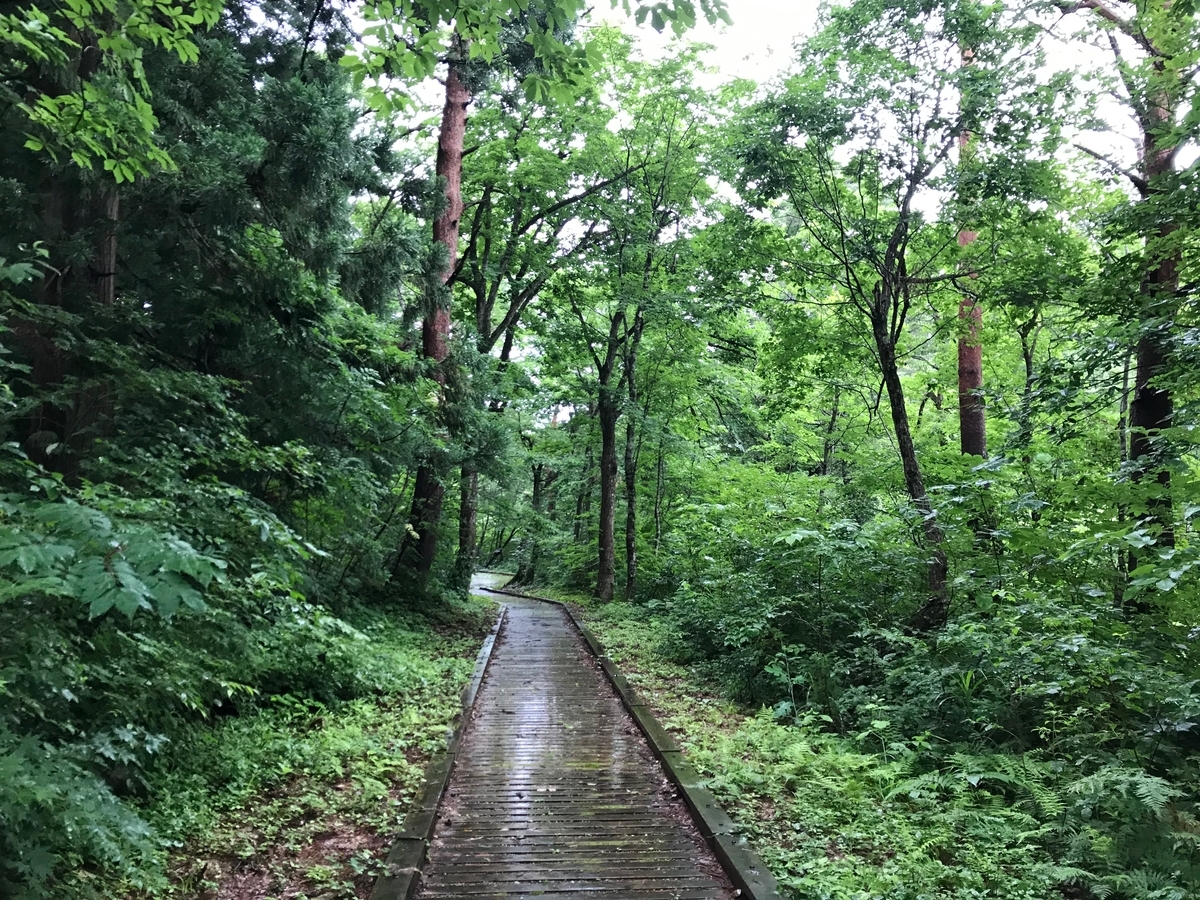 f:id:gk-murai33-gk:20190722182536j:plain f:id:gk-murai33-gk:20190722182536j:plain