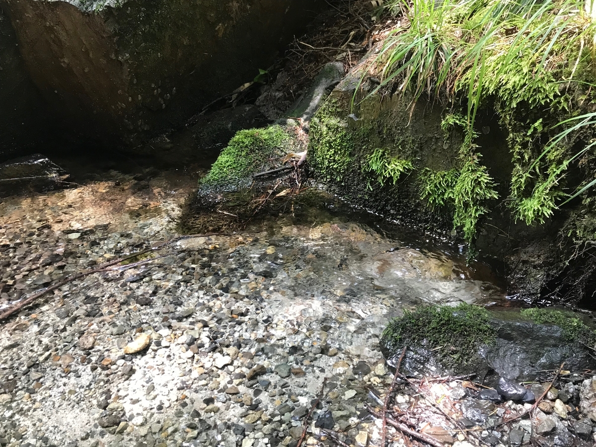 f:id:gk-murai33-gk:20190805204801j:plain