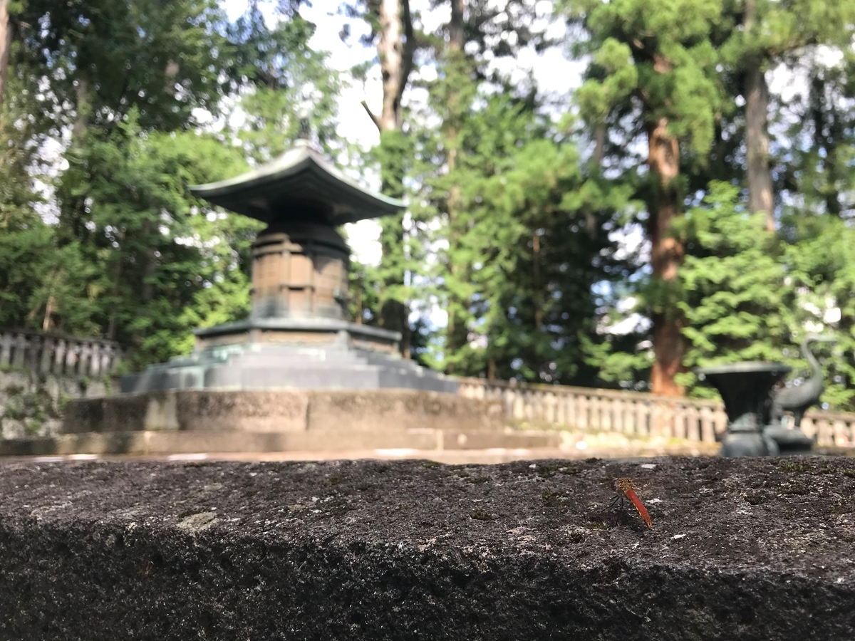 f:id:gk-murai33-gk:20190901083021j:plain