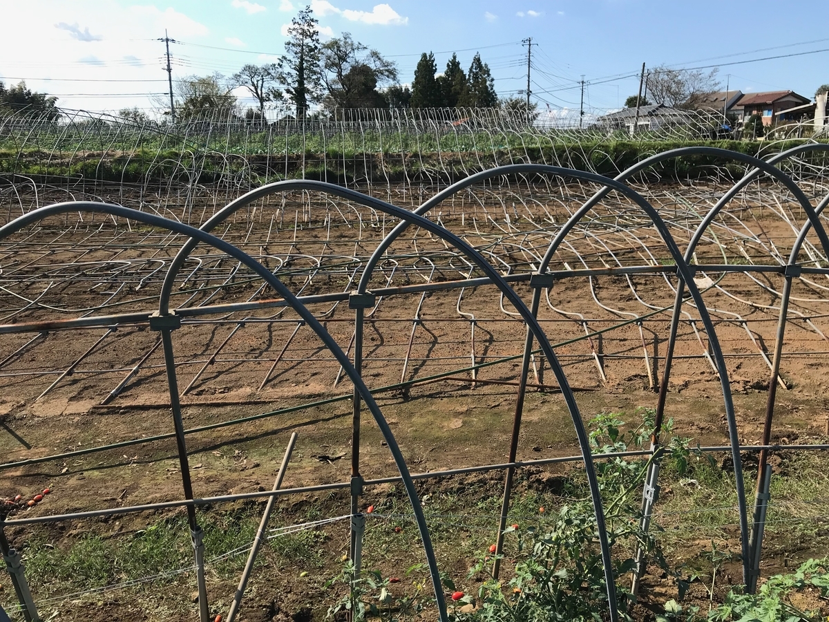 f:id:gk-murai33-gk:20190925200727j:plain