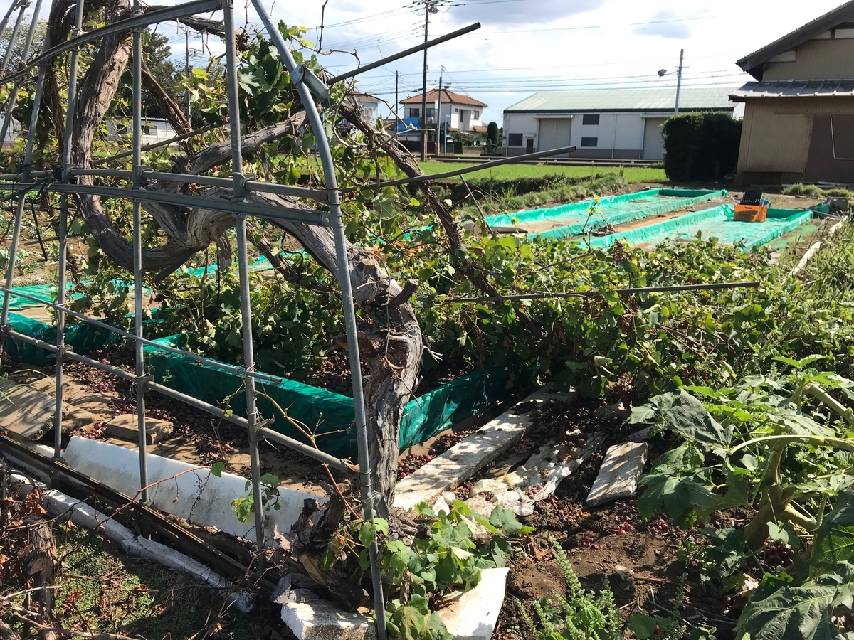 f:id:gk-murai33-gk:20190925201325j:plain