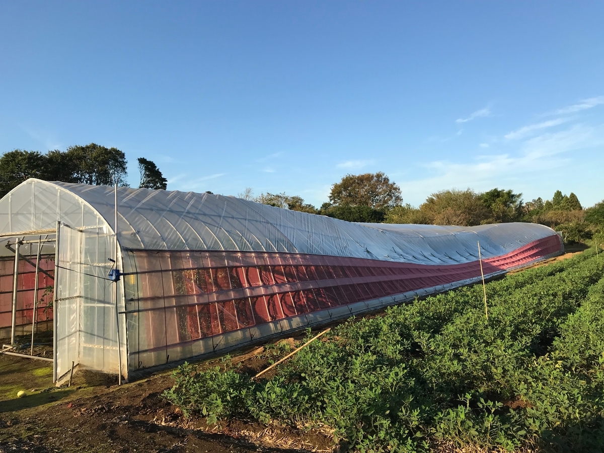 f:id:gk-murai33-gk:20190925201542j:plain