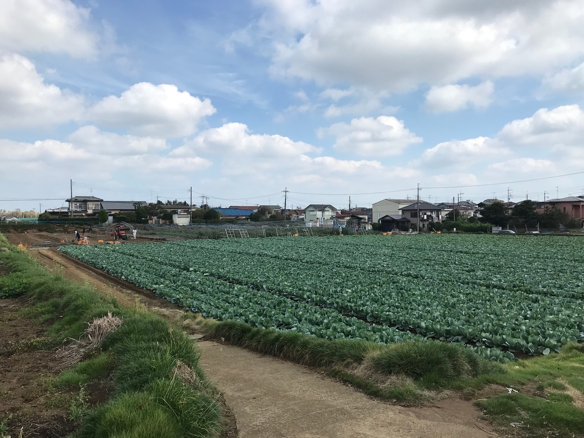 f:id:gk-murai33-gk:20190927211120j:plain f:id:gk-murai33-gk:20190927211120j:plain