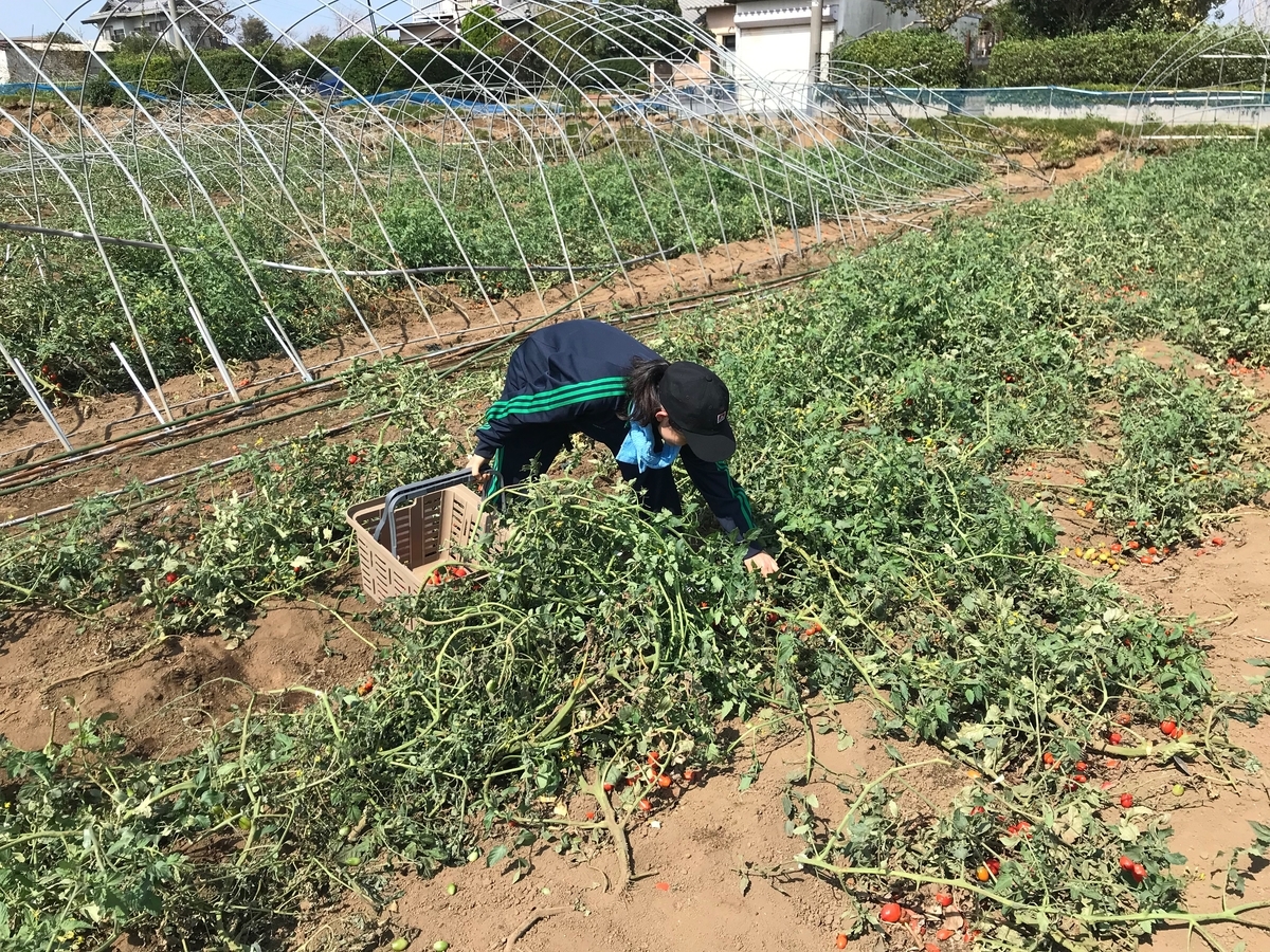 f:id:gk-murai33-gk:20190927211732j:plain f:id:gk-murai33-gk:20190927211732j:plain