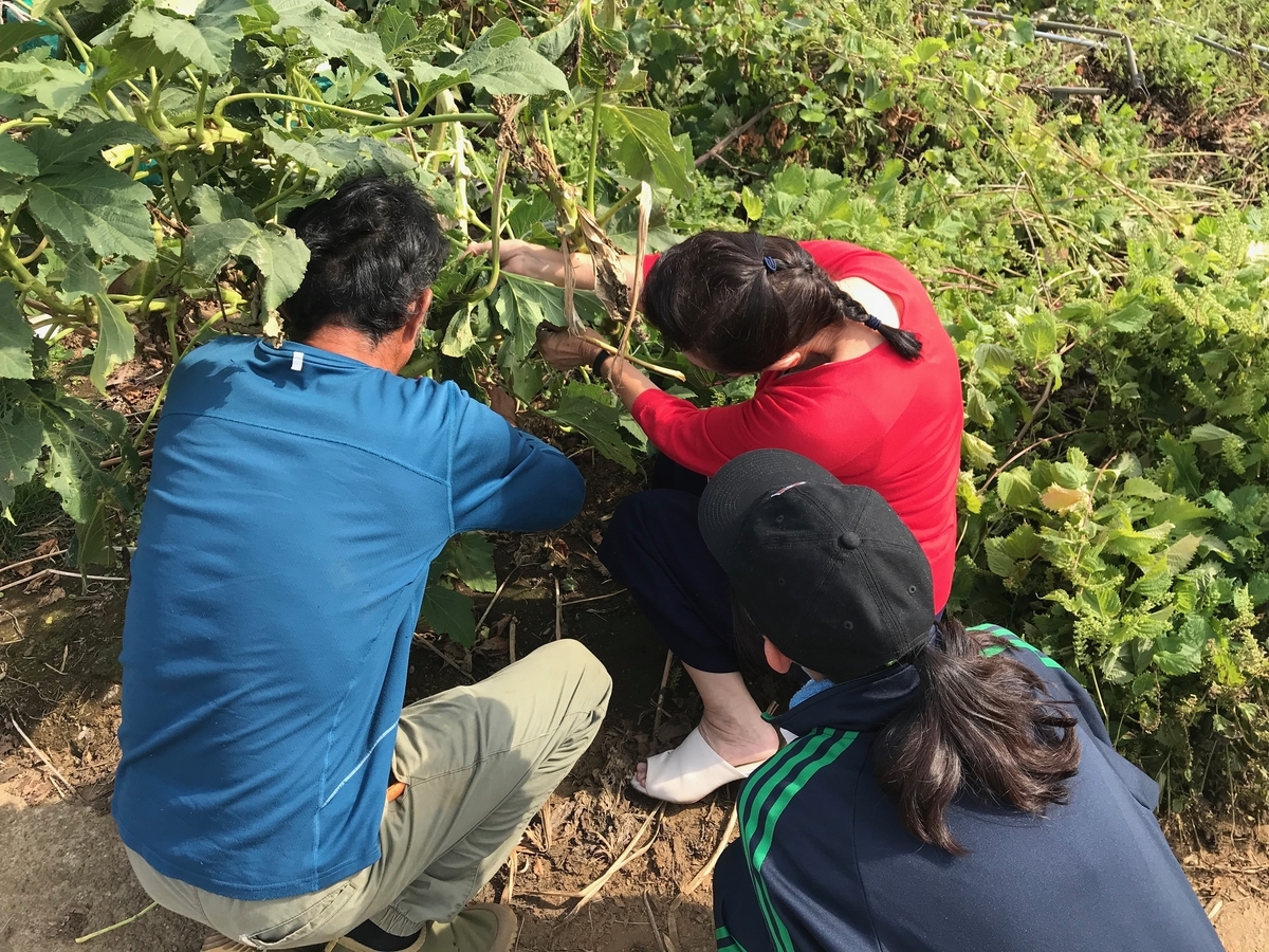 f:id:gk-murai33-gk:20190927211928j:plain f:id:gk-murai33-gk:20190927211928j:plain
