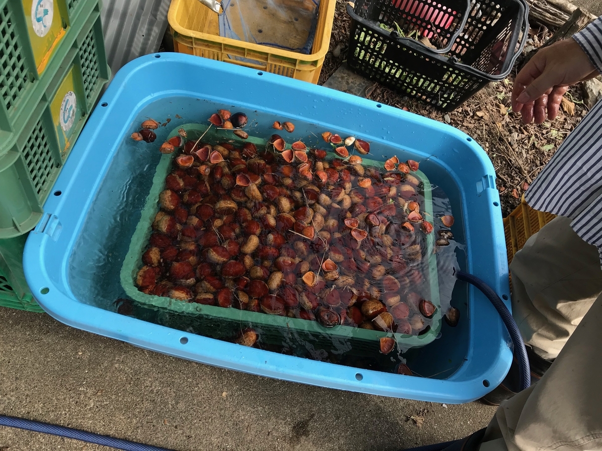 f:id:gk-murai33-gk:20191008131619j:plain