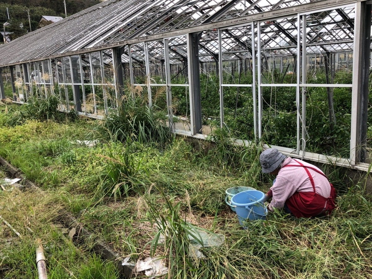 f:id:gk-murai33-gk:20191019181533j:plain f:id:gk-murai33-gk:20191019181533j:plain