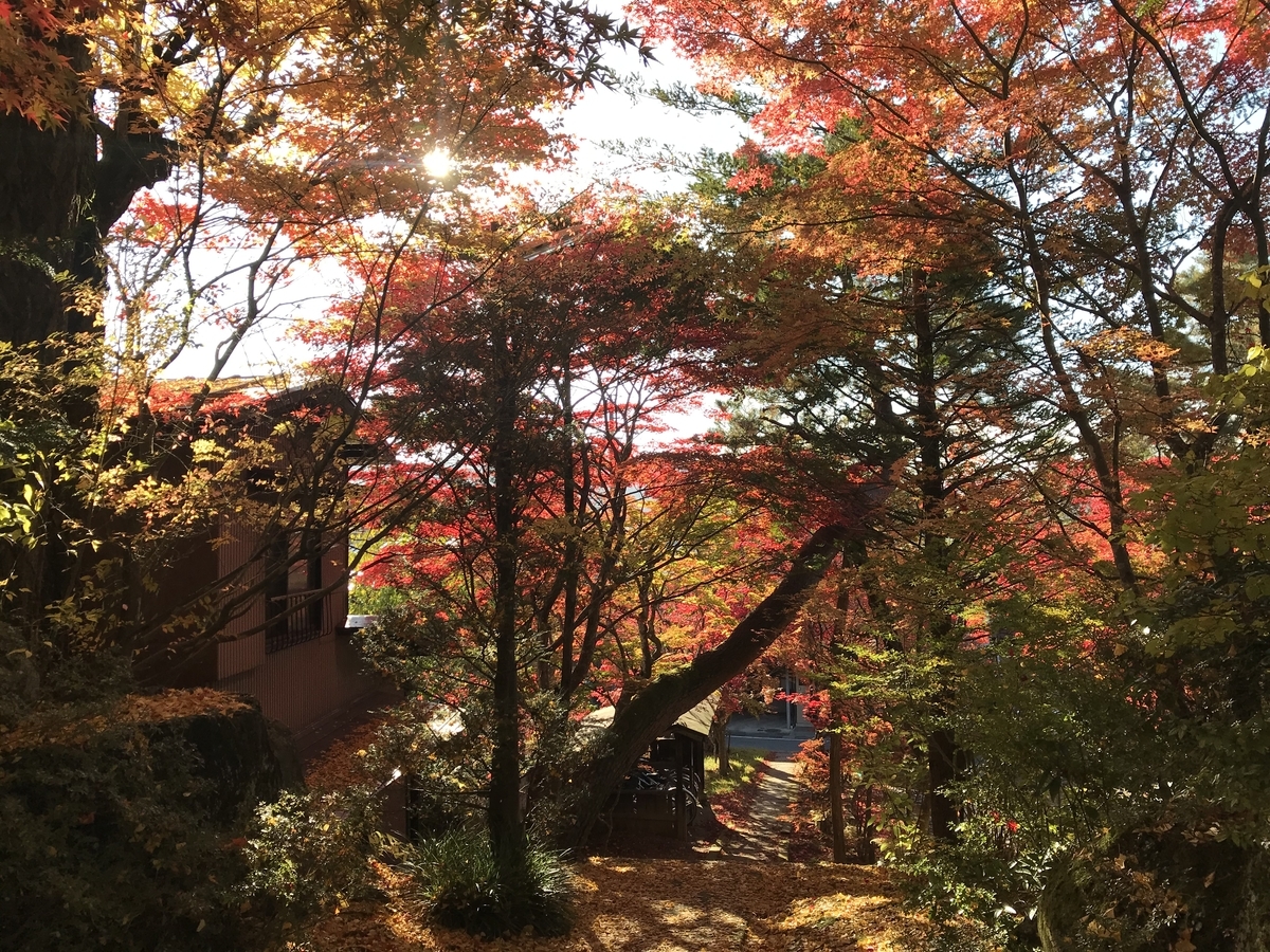 f:id:gk-murai33-gk:20191112163622j:plain f:id:gk-murai33-gk:20191112163622j:plain