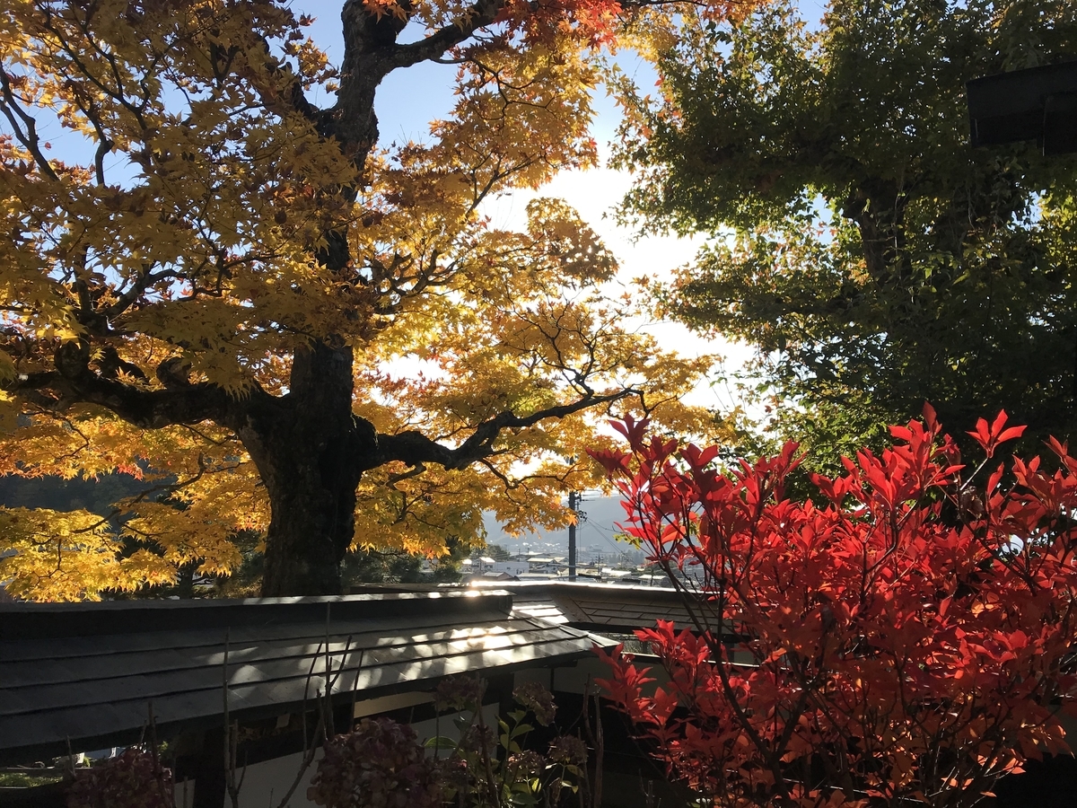 f:id:gk-murai33-gk:20191112172125j:plain f:id:gk-murai33-gk:20191112172125j:plain