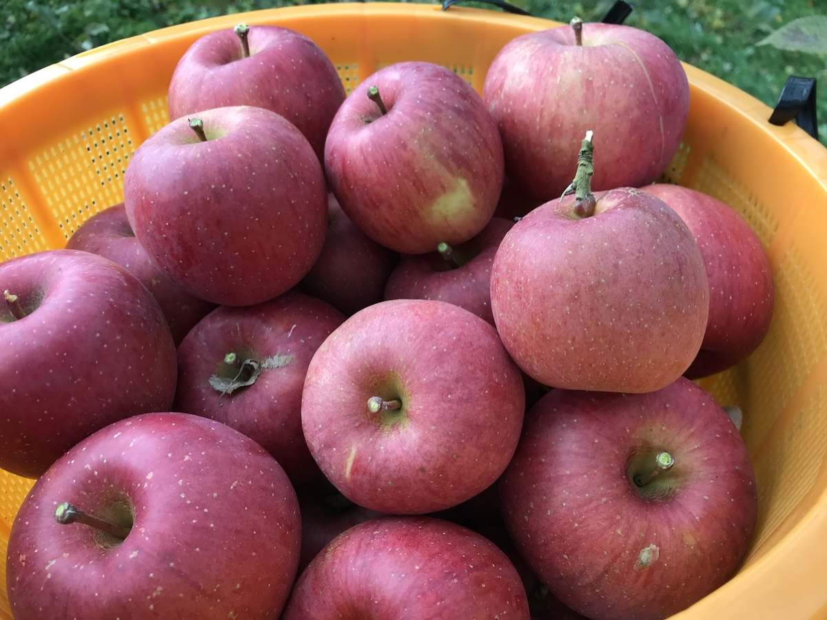 f:id:gk-murai33-gk:20191125183017j:plain f:id:gk-murai33-gk:20191125183017j:plain