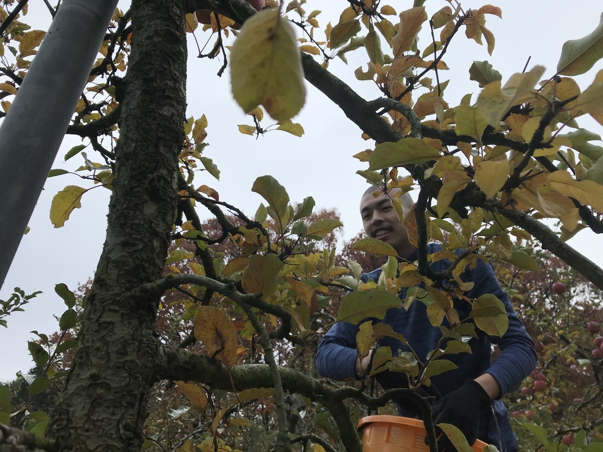 f:id:gk-murai33-gk:20191125184013j:plain f:id:gk-murai33-gk:20191125184013j:plain