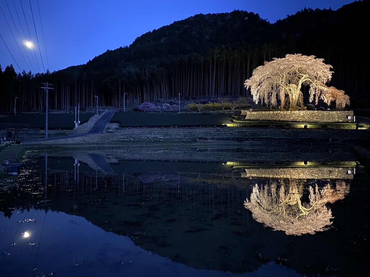 f:id:gk-murai33-gk:20200408161325j:plain f:id:gk-murai33-gk:20200408161325j:plain