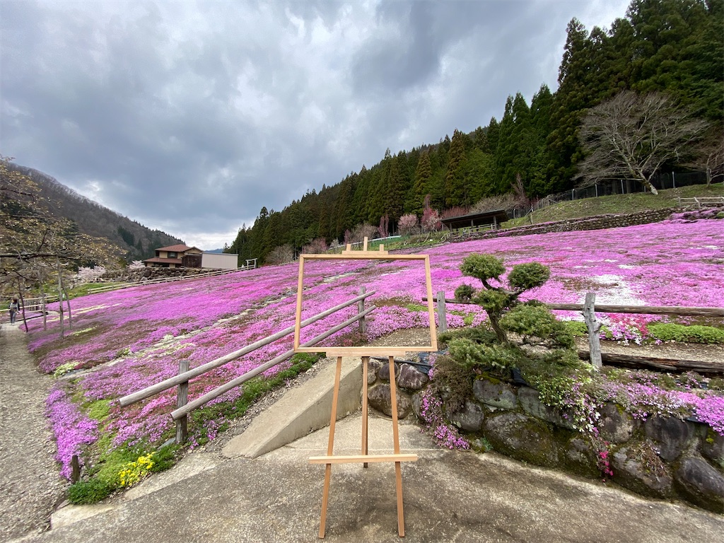 f:id:gk-murai33-gk:20200423144905j:image f:id:gk-murai33-gk:20200423144905j:image