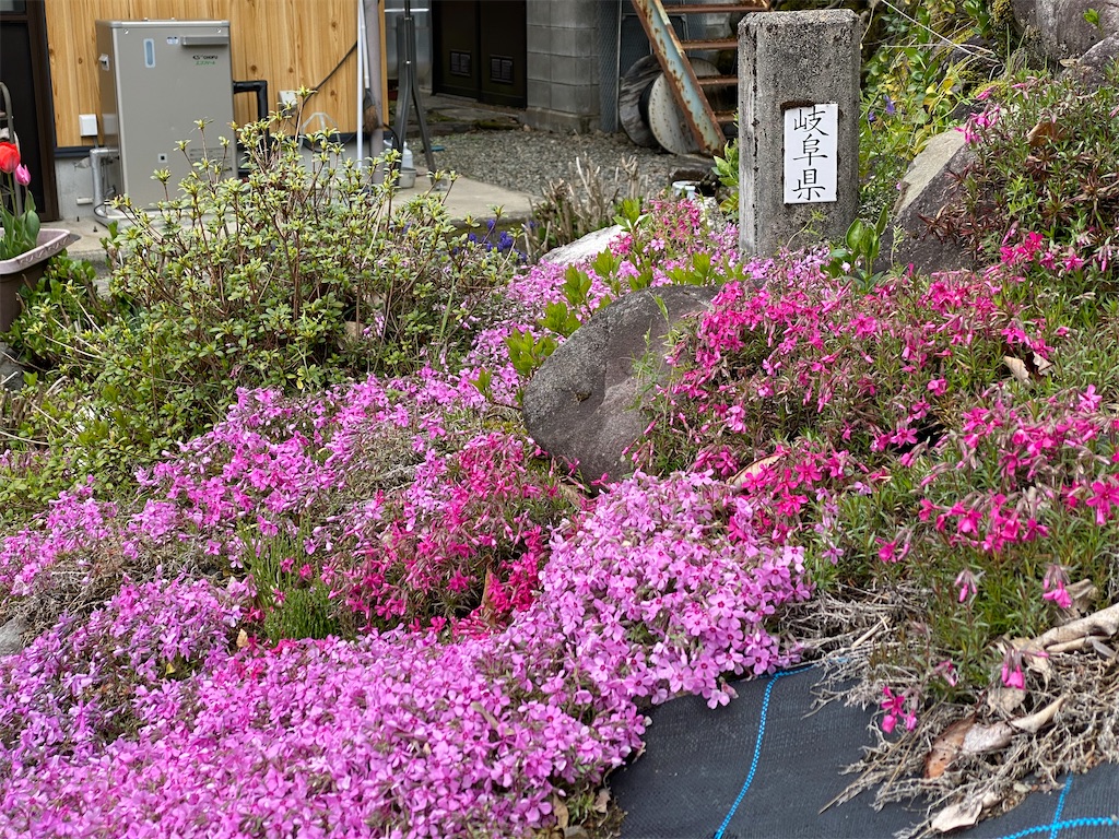 f:id:gk-murai33-gk:20200423145120j:image f:id:gk-murai33-gk:20200423145120j:image