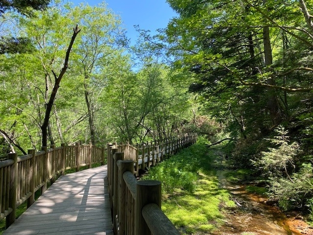 f:id:gk-murai33-gk:20200611143444j:plain