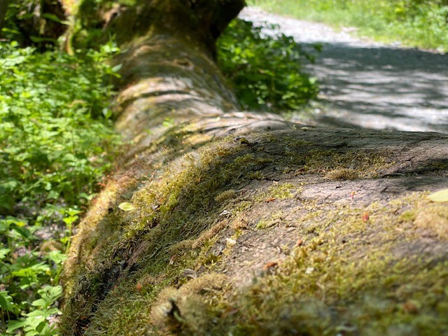 f:id:gk-murai33-gk:20200611144544j:plain