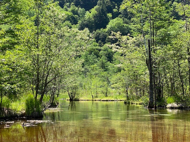 f:id:gk-murai33-gk:20200611150648j:plain