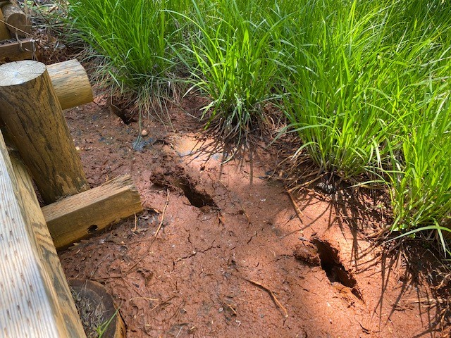 f:id:gk-murai33-gk:20200611151423j:plain