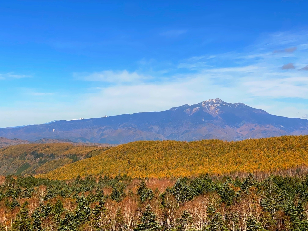 f:id:gk-murai33-gk:20201027160405j:plain