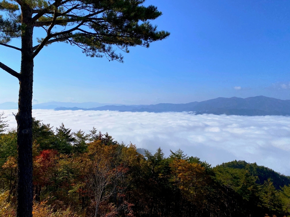 f:id:gk-murai33-gk:20201029212622j:plain