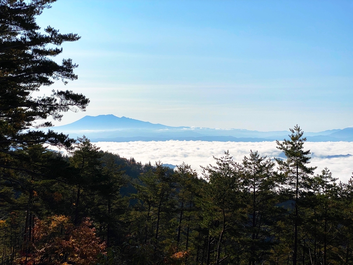 f:id:gk-murai33-gk:20201102074400j:plain