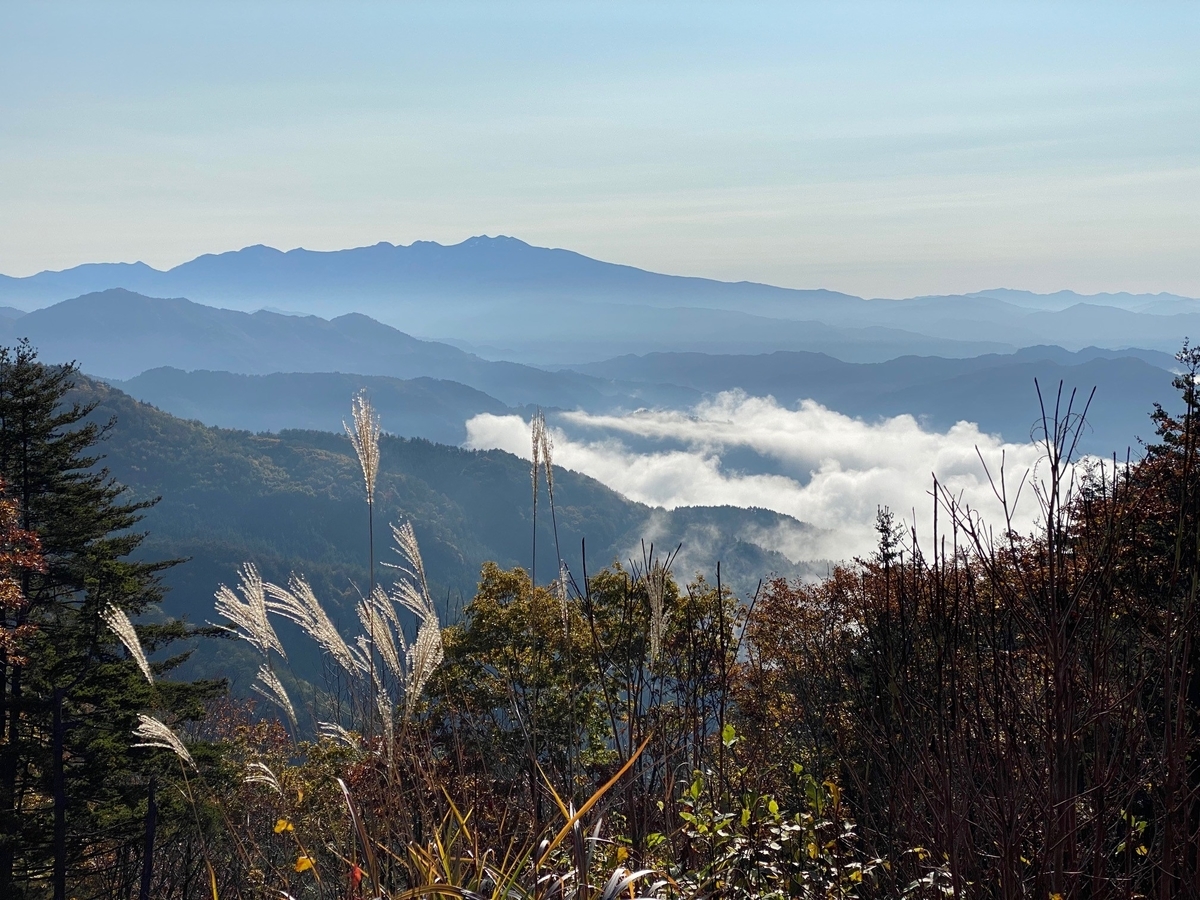 f:id:gk-murai33-gk:20201102074948j:plain