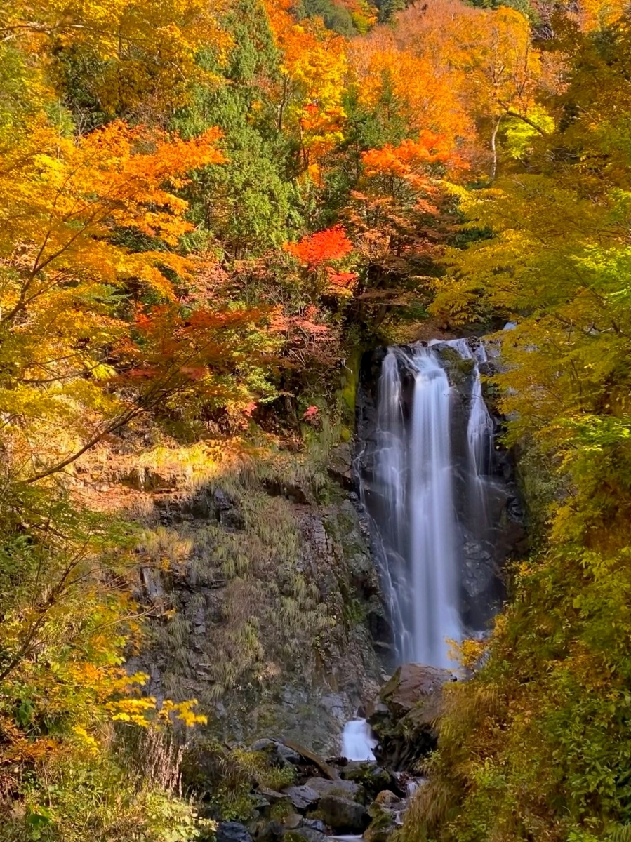 f:id:gk-murai33-gk:20201102081819j:plain