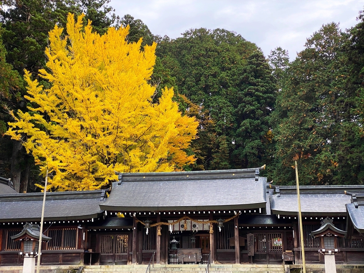 f:id:gk-murai33-gk:20201110135328j:plain