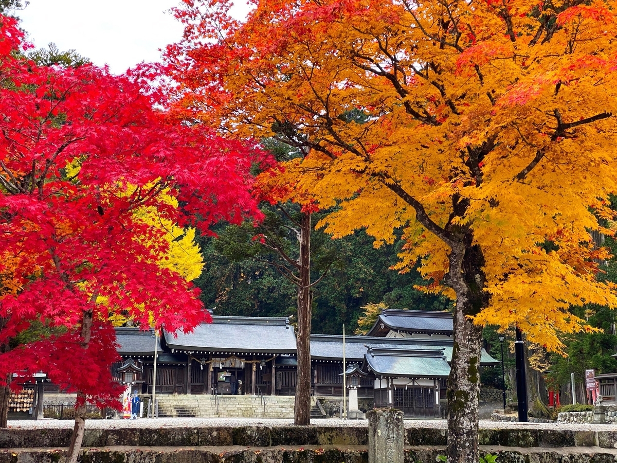 f:id:gk-murai33-gk:20201110141106j:plain