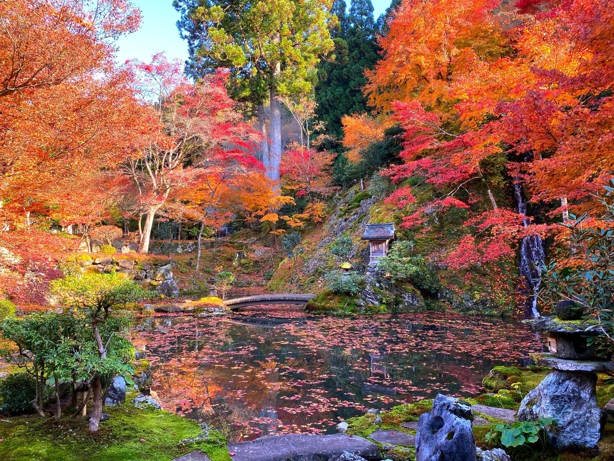 f:id:gk-murai33-gk:20201118124111j:plain