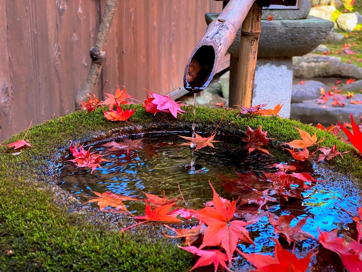 f:id:gk-murai33-gk:20201118124404j:plain