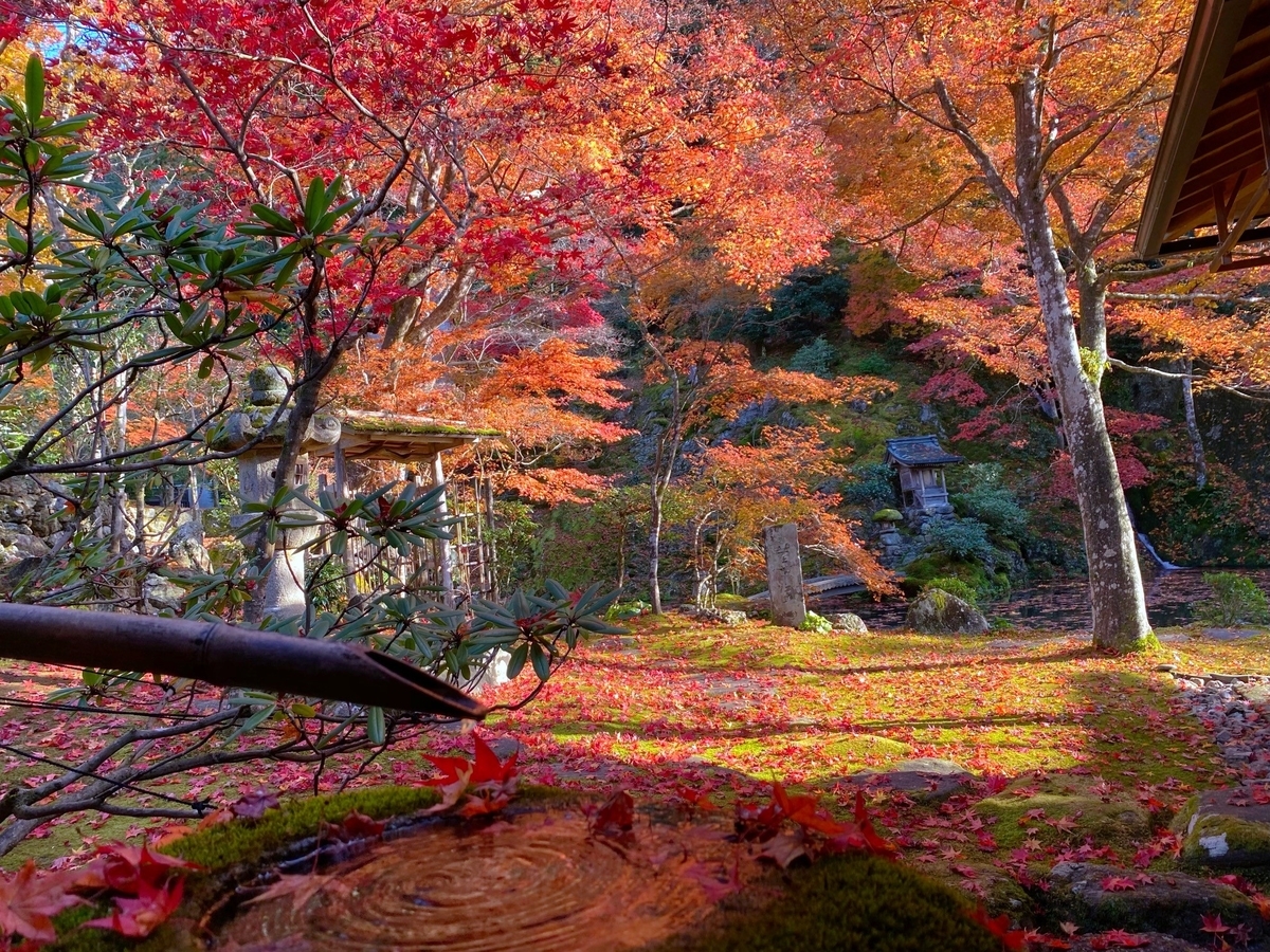 f:id:gk-murai33-gk:20201118124741j:plain