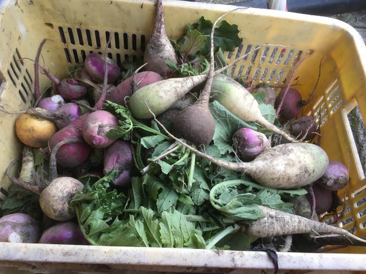 f:id:gk-murai33-gk:20201215085628j:plain