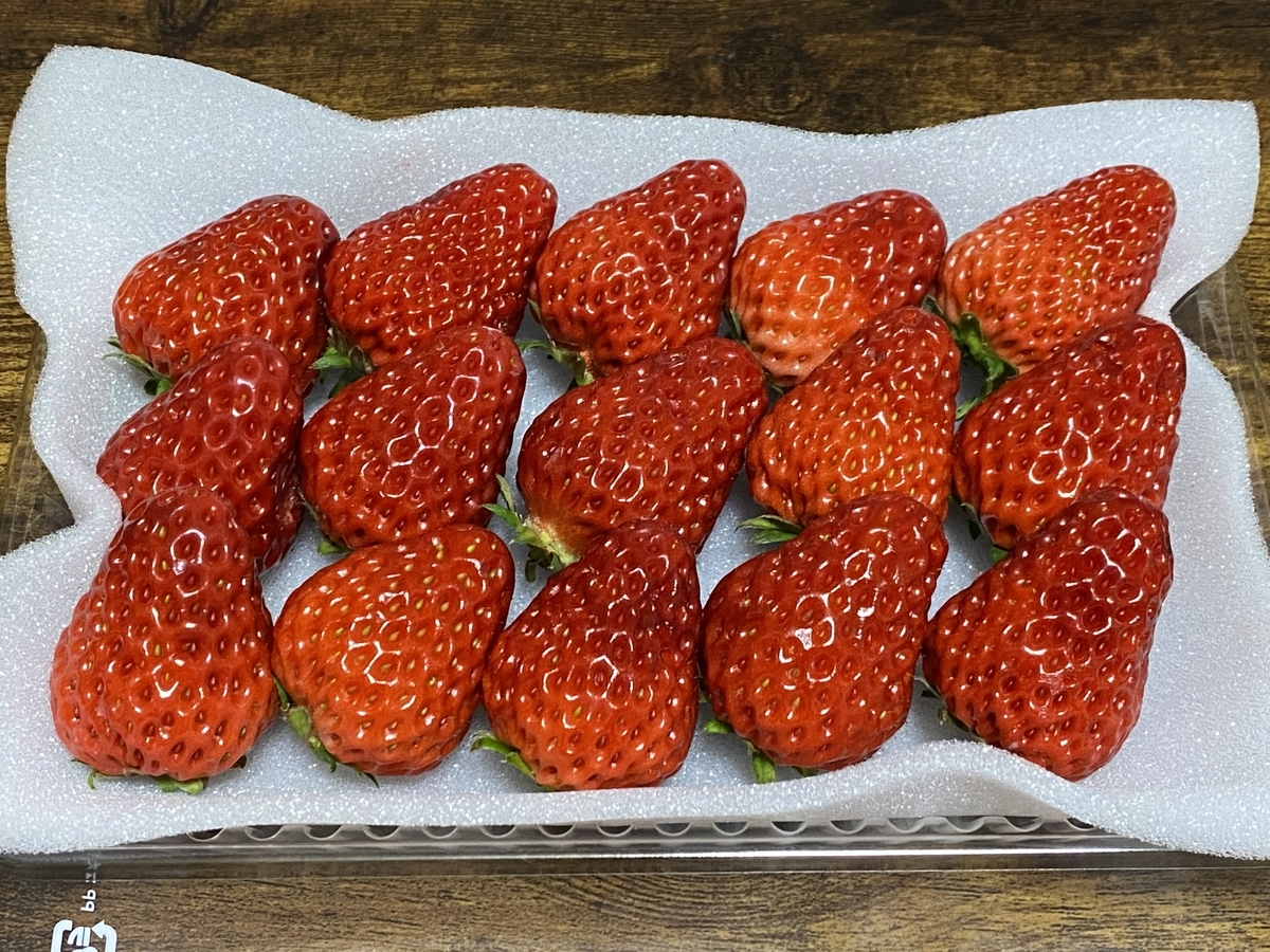 f:id:gk-murai33-gk:20210308103906j:plain