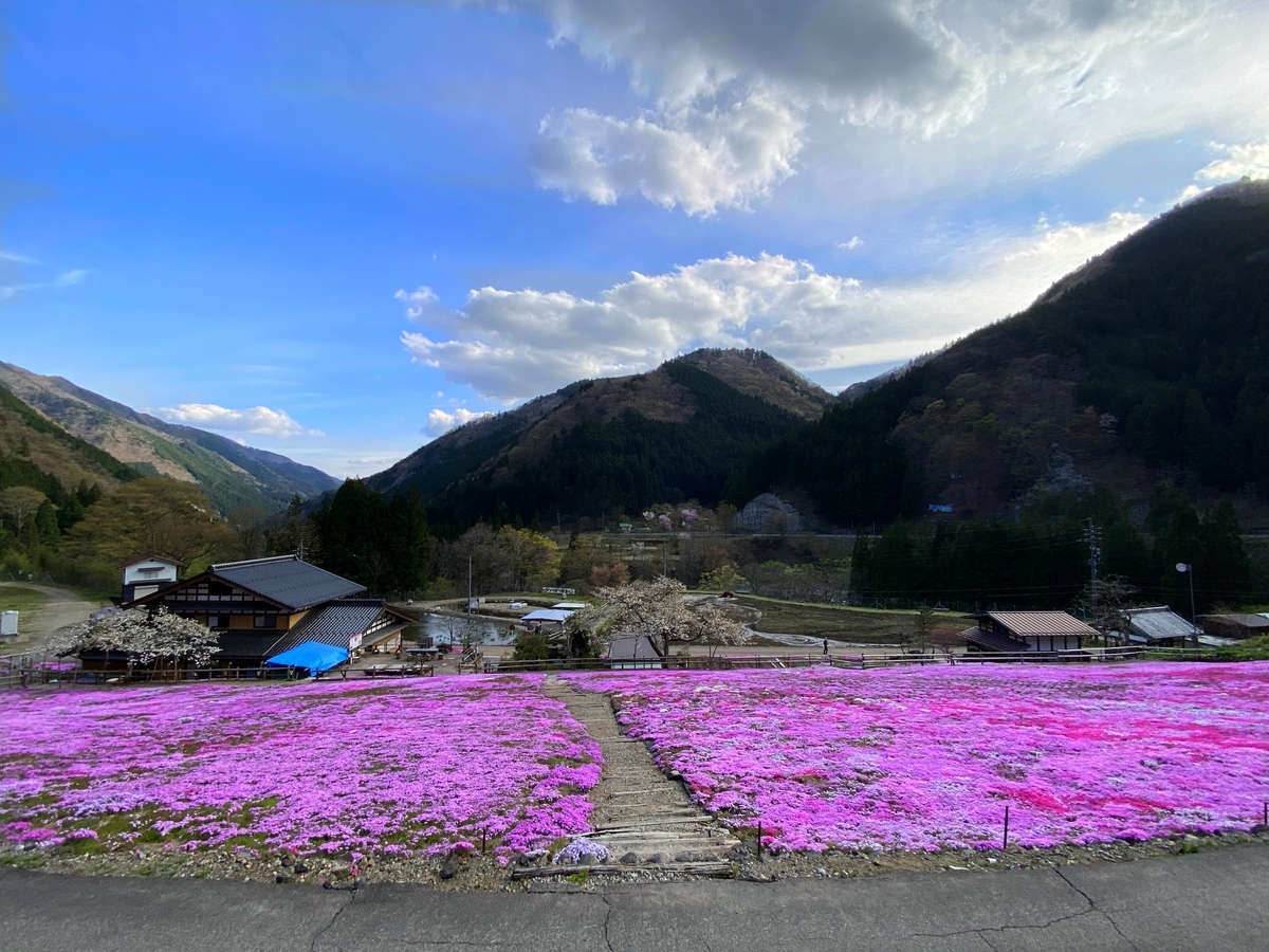 f:id:gk-murai33-gk:20210412220233j:plain